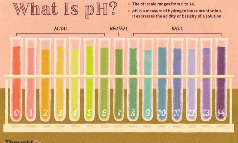 Definição e equação de pH em química
